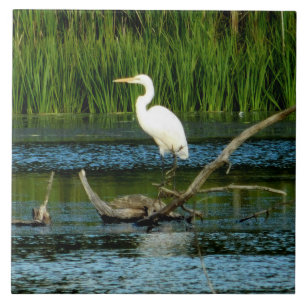 Great Egret Decorative Tile Fliese
