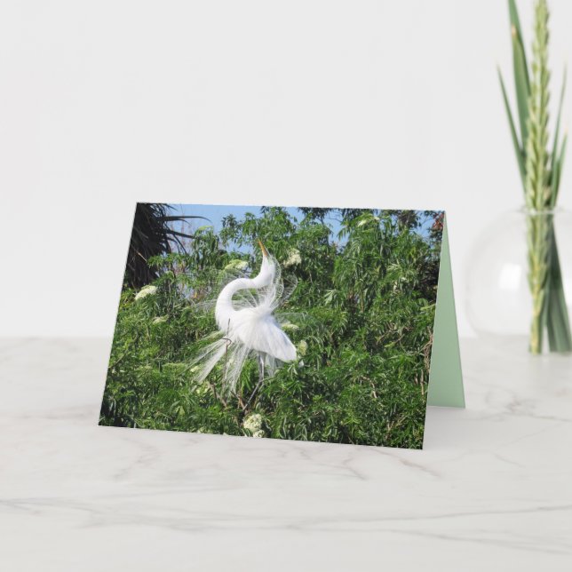 Great Egret Grußkarte Karte (Vorderseite)