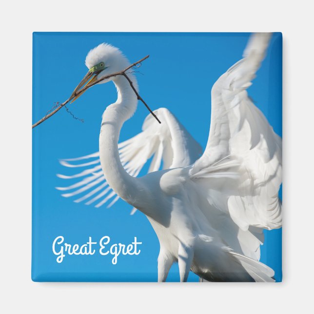 Great Egret Magnet (Vorne)