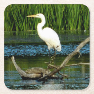 Great Egret Paper Untersetzer