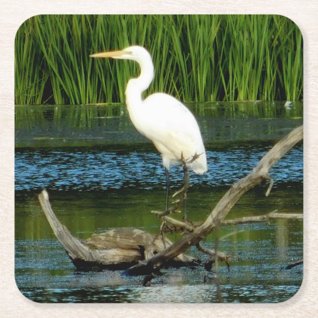 Great Egret Paper Untersetzer (Vorderseite)