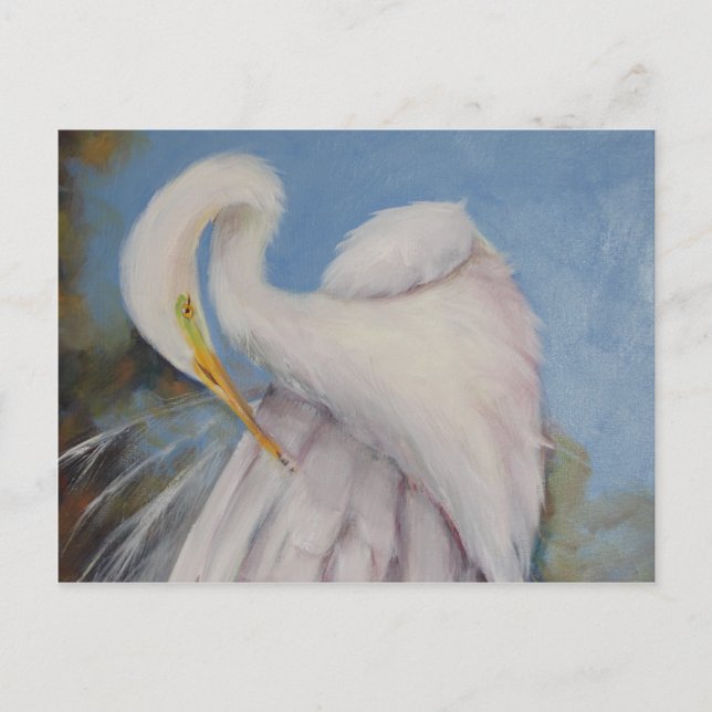 Great Egret Postkarte (Vorderseite)