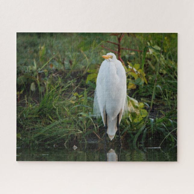 Great Egret Puzzle (Horizontal)