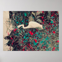 Great Egret Red