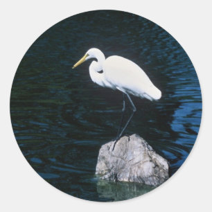 Great Egret Runder Aufkleber