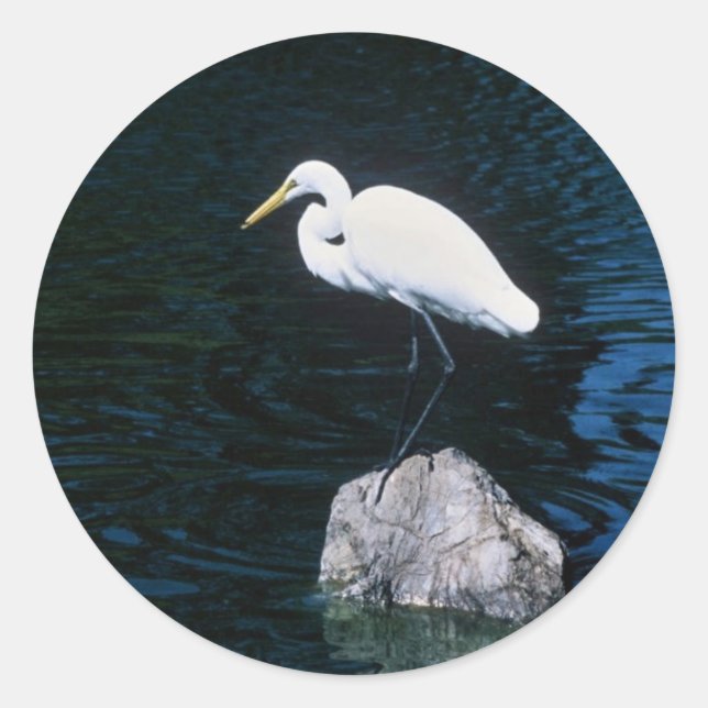 Great Egret Runder Aufkleber (Vorderseite)