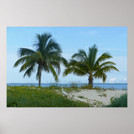 Great Egret, Treascay, Great Abaco Island Poster