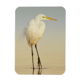 Great Egret Walking Magnet