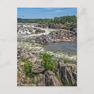 Great Falls National Park Postkarte