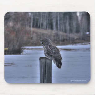 Great Gray Owl on Fence Post Winter Wildlife Foto Mousepad