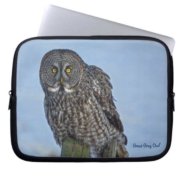 Great Gray Owl Raptor Winter Wildlife Foto Laptopschutzhülle (Vorderseite)