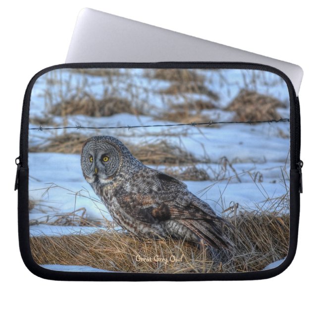Great Gray Owl Raptor Winter Wildlife Foto Laptopschutzhülle (Vorderseite)