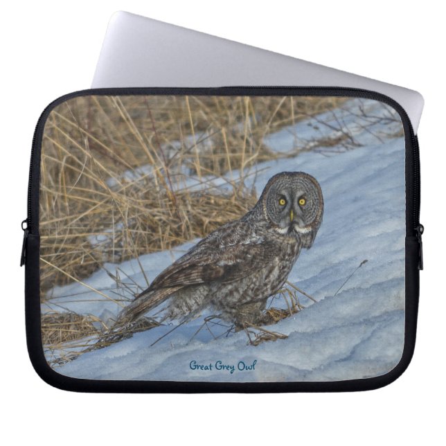 Great Gray Owl Raptor Winter Wildlife Foto Laptopschutzhülle (Vorderseite)