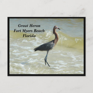 Great Heron Holiday Postcard Feiertagspostkarte