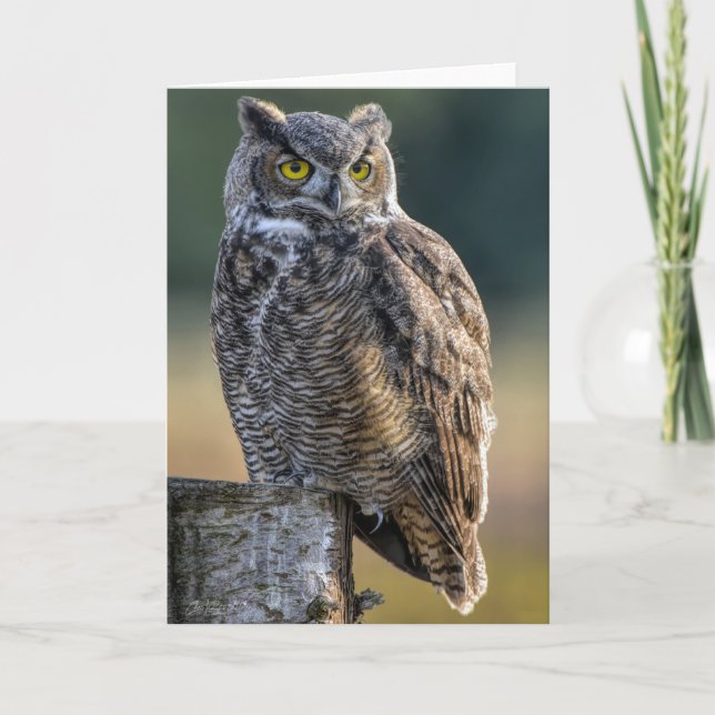 Great Horned Owl Dankeschön Card Dankeskarte (Vorderseite)