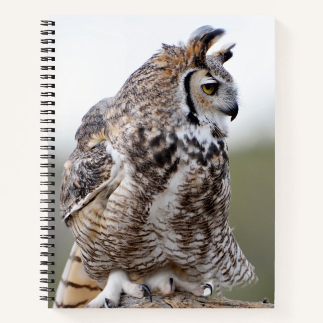 Great Horned Owl Foto 8x11 Notebook Notizbuch (Vorderseite)