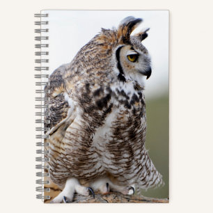 Great Horned Owl Foto 8x5 Notebook Notizbuch