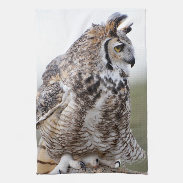 Great Horned Owl Foto Küchentuch (Vertikal)