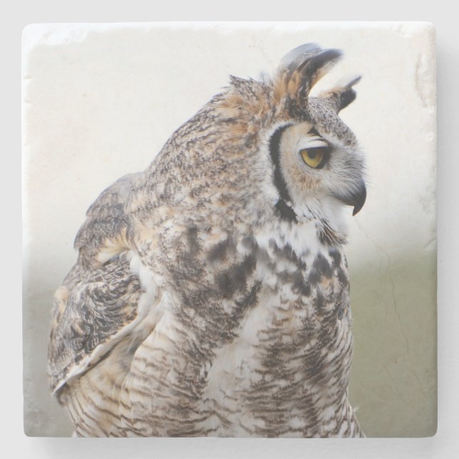 Great Horned Owl Foto Untersetzer (Vorderseite)