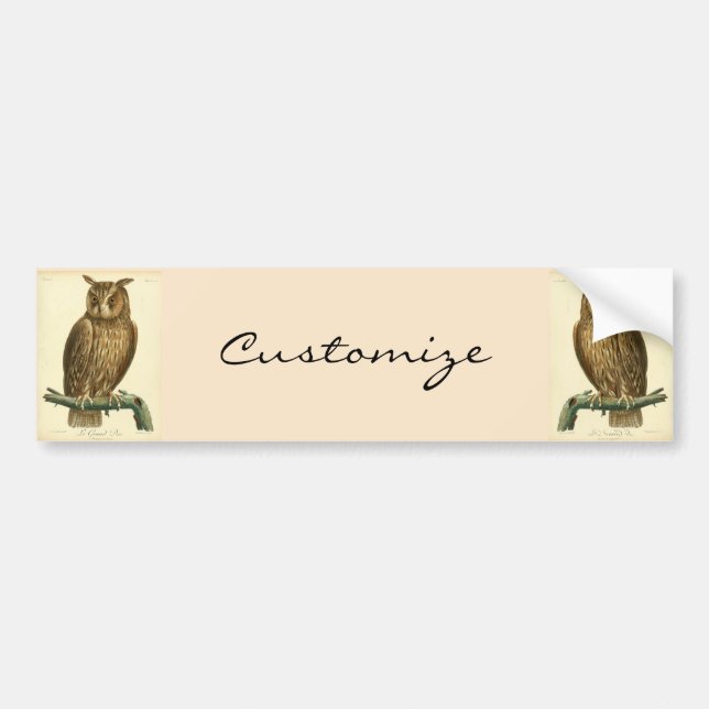 Great Horned Owl Thunder_Cove Autoaufkleber (Vorne)