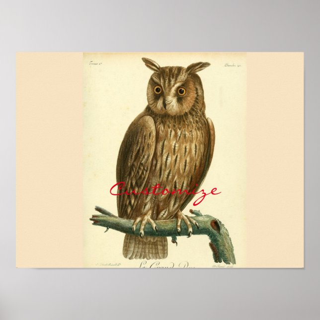 Great Horned Owl Thunder_Cove Poster (Vorne)