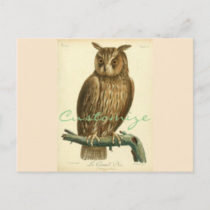 Great Horned Owl Thunder_Cove Postkarte