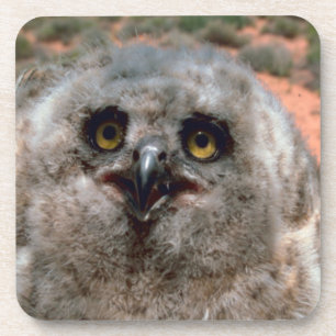 Great Horned Owlet Untersetzer