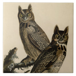 Great Horned Owls (von John James Audubon) Fliese