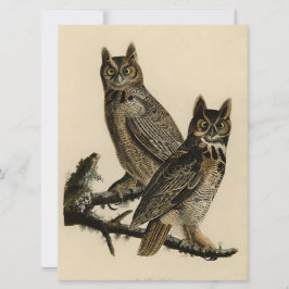 Great Horned Owls (von John James Audubon) Karte
