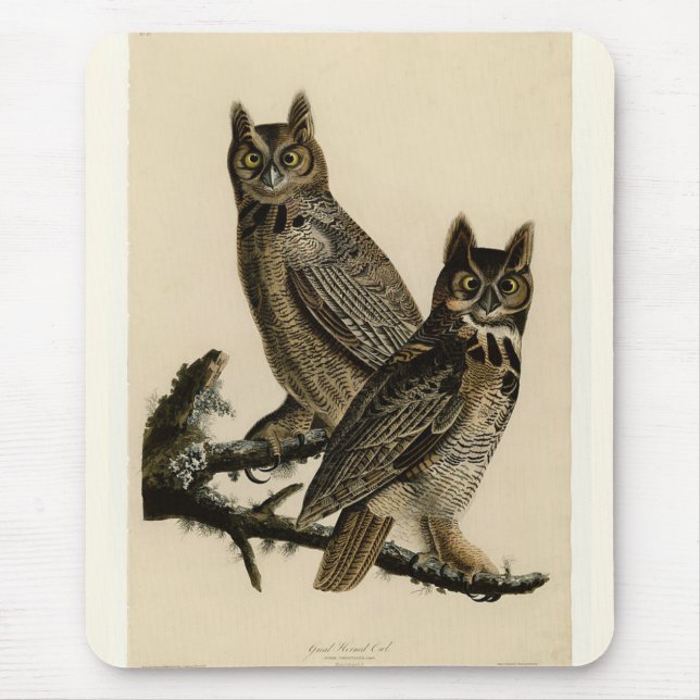 Great Horned Owls (von John James Audubon) Mousepad (Vorne)