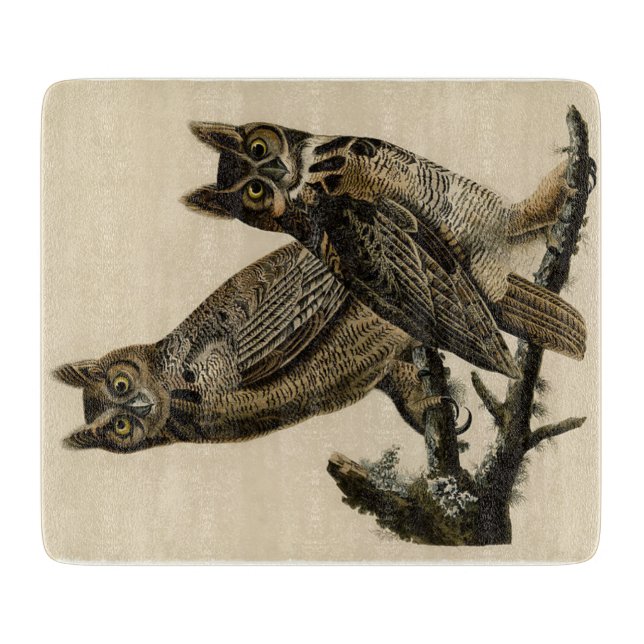 Great Horned Owls (von John James Audubon) Schneidebrett (Vorderseite)