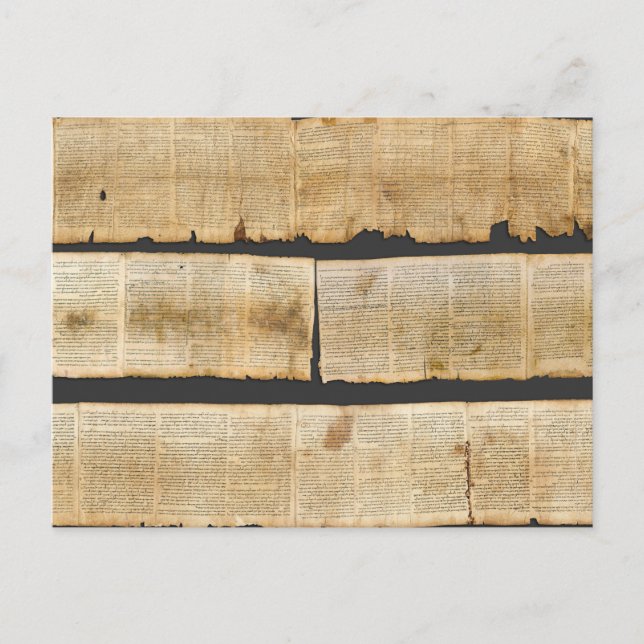 Great Isaiah Scroll Dead Sea Scrolls 1QIsaa Postkarte (Vorderseite)