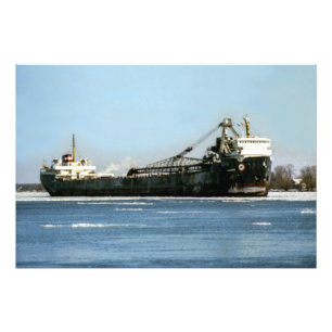 Great Lakes-Frachter MC Algorail Fotodruck