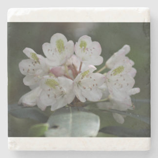 Great Laurel Steinuntersetzer