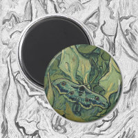 Great Peacock Moth by Vincent van Gogh