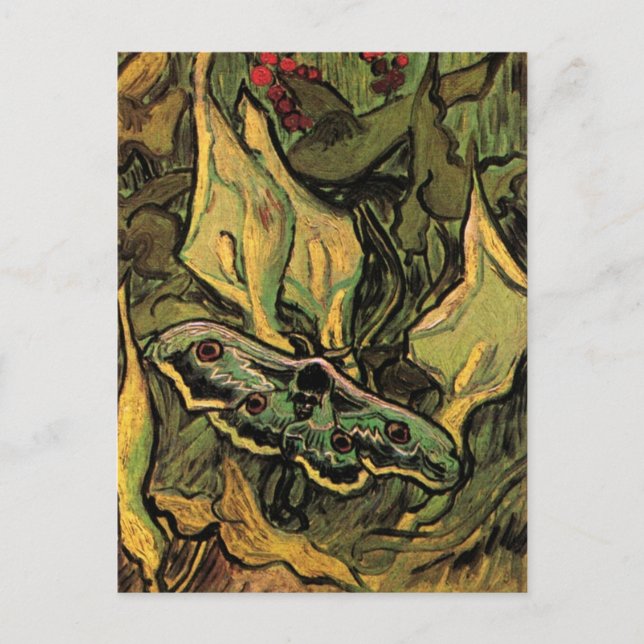 Great Peacock Moth by Vincent van Gogh Postkarte (Vorderseite)