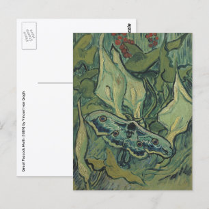 Great Peacock Moth by Vincent van Gogh Postkarte