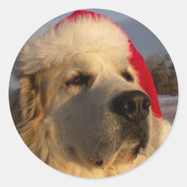 Great Pyrenäen Weihnachtsaufkleber Runder Aufkleber (Vorderseite)
