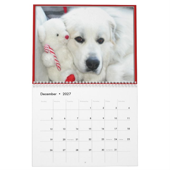 Great Pyrenees Calendar Kalender (Dez 2027)