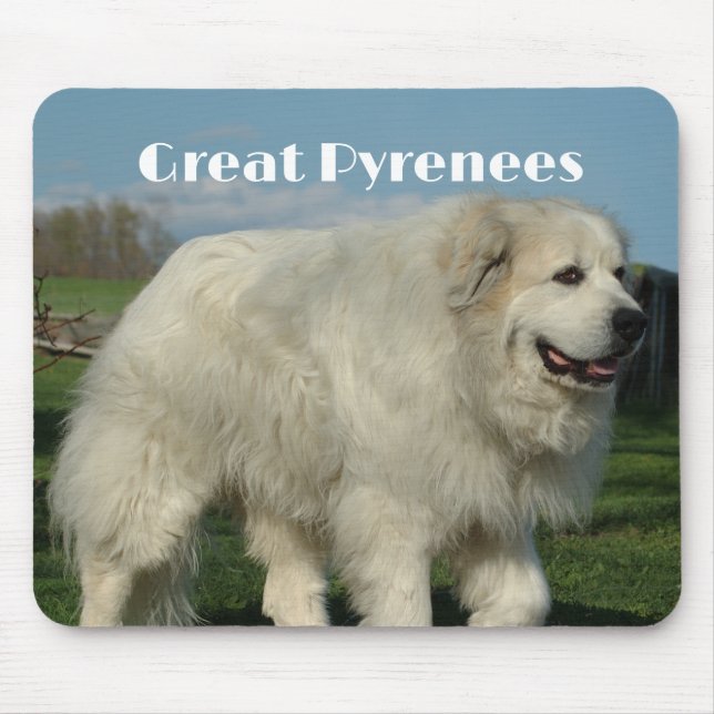 Great Pyrenees-Mauspad Mousepad (Vorne)