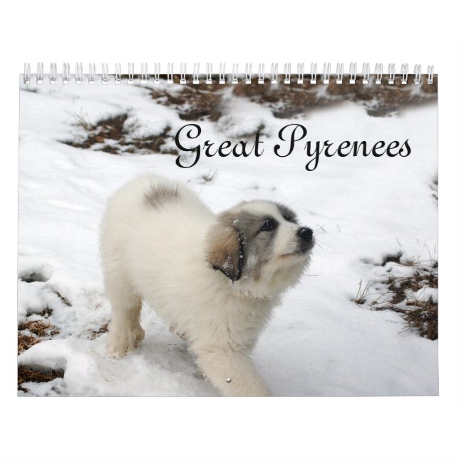 Great Pyrenees Puppy Calendar Kalender (Titelbild)