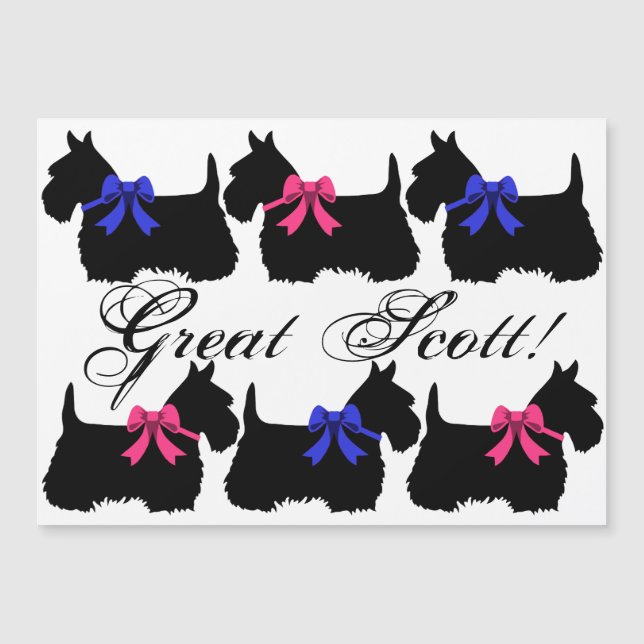 "Great Scott!", Scottish Terrier, Scotland dog Magnetkarte (Vorderseite)