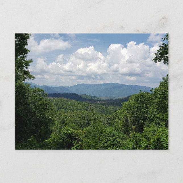 Great Smokey Mountains National Park in Gatlinburg Postkarte (Vorderseite)