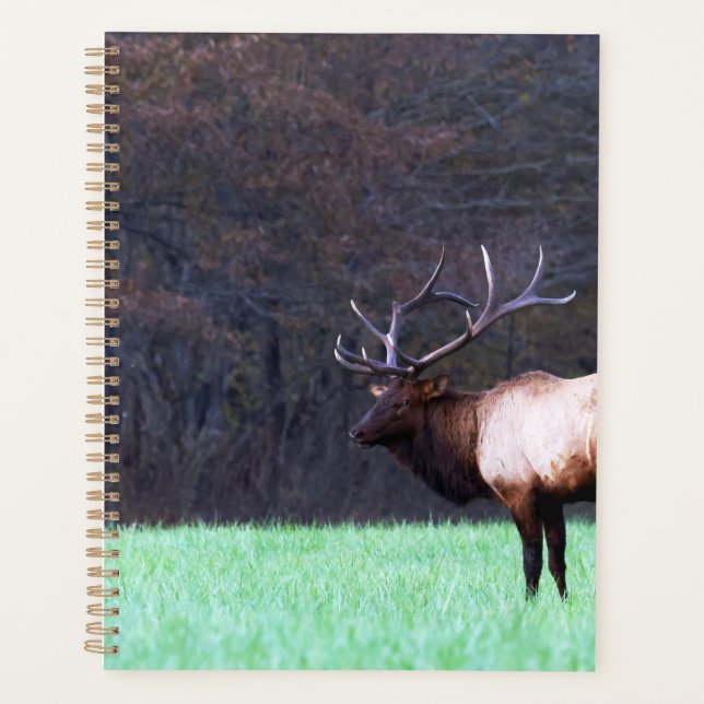 Great Smoky Mountain Elk 2026 Planer (Vorderseite)