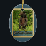 Great Smoky Mountains National Park Bären Keramik Ornament<br><div class="desc">Vintage Reise-Ornament Great Smoky Mountains National Park Bild mit einem schwarzen Bär stehend auf seinen Hinterbeinen,  Blick in den grünen Wald.</div>