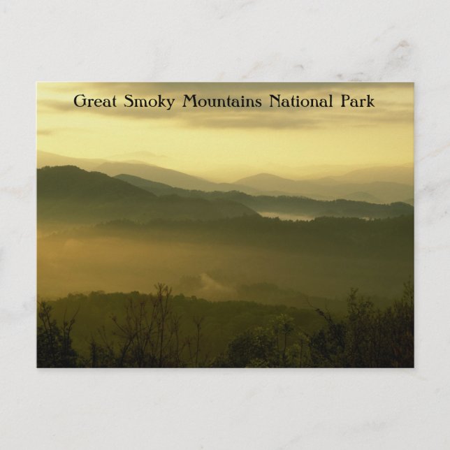 Great Smoky Mountains National Park Dawn Postkarte (Vorderseite)