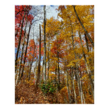Great Smoky Mountains National Park Fall Foliage