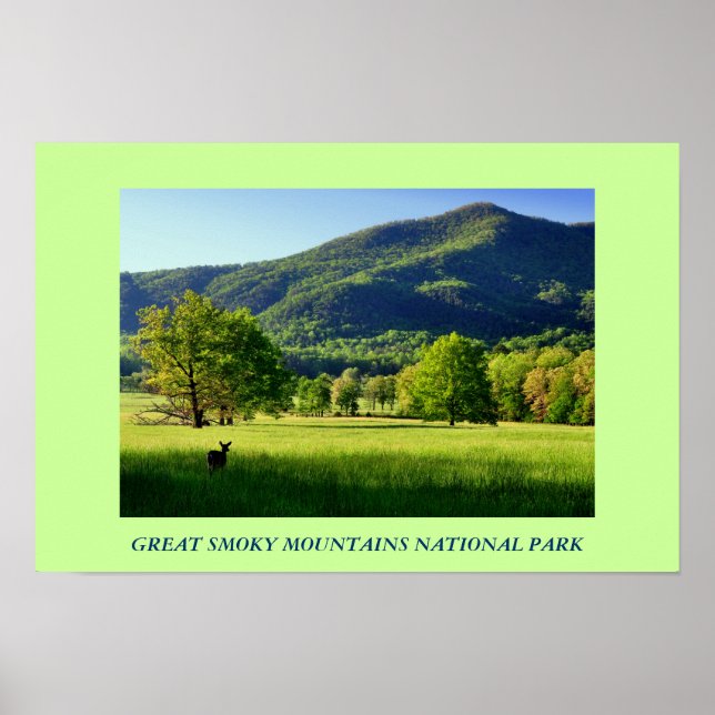 Great Smoky Mountains National Park Foto Poster (Vorne)