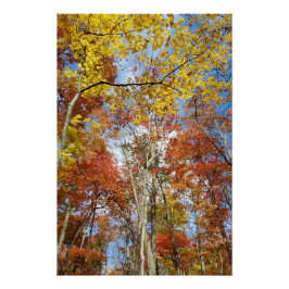 Great Smoky Mountains National Park Herbstlaube Poster