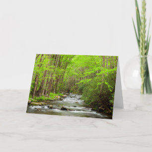 Great Smoky Mountains National Park North Carolina Karte